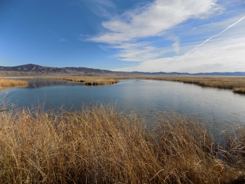 Late Fall Ruby Lake NWR
