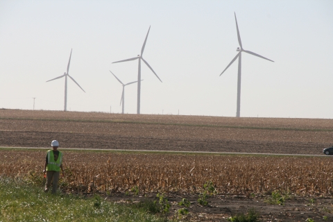 Person walking in an agricultural field with wind turbines in the background.