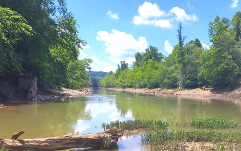 Photo of river with blue sky above, and tree-lined river banks.