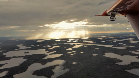 MacKenzie River Delta, Northwest Territories during the WBPHS