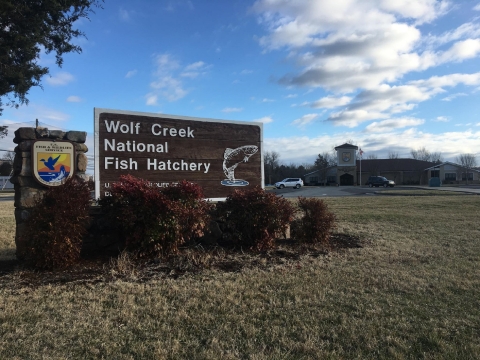 Entrance sign at Wolf Creek National Fish Hatchery 