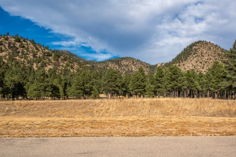 A grassy plain is shown against a background of tree-filled hills and a blue sky.