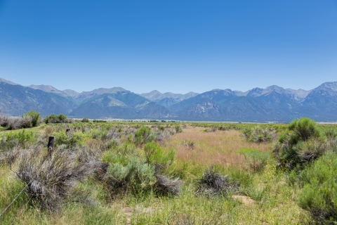 Grassland with mountains in the background.