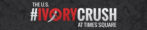Ivory Crush banner that reads, "The U.S. #IvoryCrush at Time Square