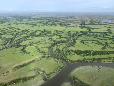 Tributaries of the Kuskokwim River in the Yukon Delta NWR