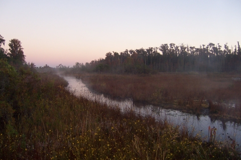 Sunrise at the Okefenokee Swamp.