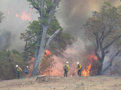 4 firefighters amid smoke, fire, trees