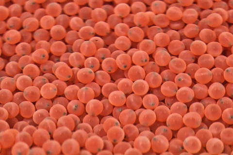 orange fish eggs with eye balls