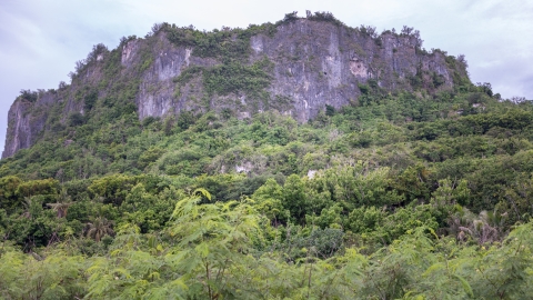 A mountain at the Guam National Wildlife Refuge. It sticks out from the treeline. 