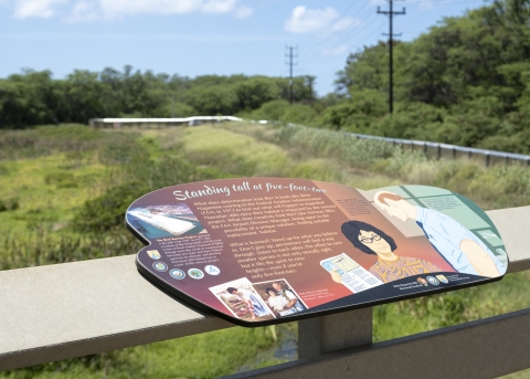 The Betty Nagamine Bliss sign detailing who she was, overlooks the wetland refuge established in her honor. 