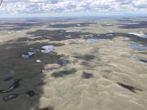 Aerial view of wetlands