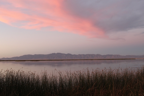 Pink and purple shades in a sunset above a wetland at Bear River Migratory Bird Refuge
