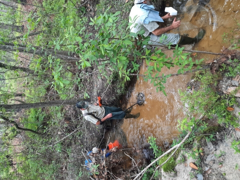 Mussel Surveys for Louisiana Pearlshell