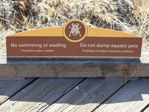 a sign saying no swimming or wading and do not dump aquatic pets