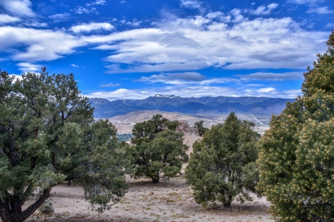 Image of pinyon and juniper pine trees in the foreground, and snowcapped Sierra Nevada mountains in the distance under a partly cloudy bright blue sky.