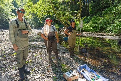Service staff and interns standing on the bank of a river wearing waders and holding nets before sampling fish