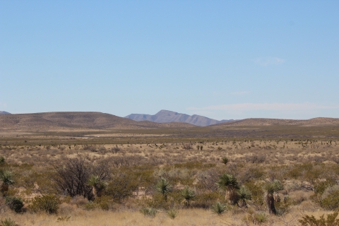 Otero mesa grassland on Fort Bliss 