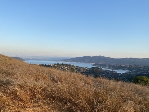 Landscape view of ocean bay with grassland in the foreground.