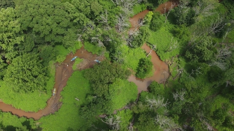 Aerial view of kayakers on a narrow, meandering river surrounded by lush, green vegetation