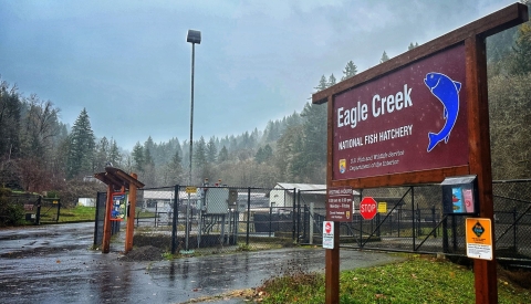 A sign outdoors that reads Eagle Creek National Fish Hatchery
