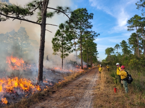 A view down a dirt road with firefighters standing on the right side and small flames on the left side. There are trees interspersed on the landscape.