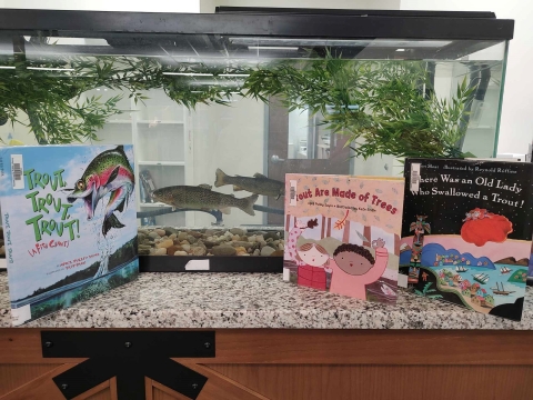 Books placed in front of fish tank