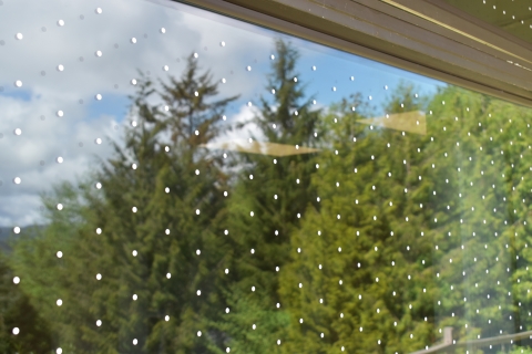 Picture of treated window at Nestucca National Wildlife Refuge. There are white dots spaced two inches apart and trees can be seen in the window's reflection.