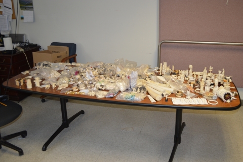 Display of seized ivory products on a table.