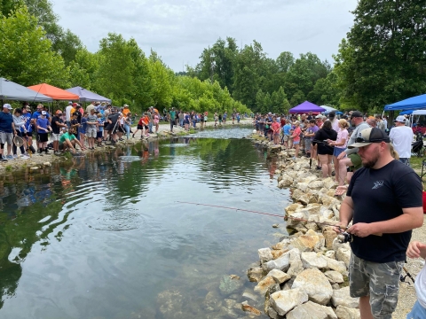 People fishing bank of stream