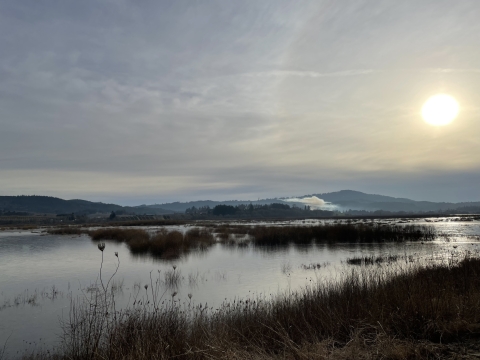Wapato Lake filled with water at Wapato Lake National Wildlife Refuge