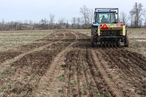 Tractor plowing a field