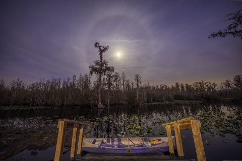 Canoe at base of wooden stairs in foreground with water and water lilies behind it and cypress trees with one taller than the others. A small moon is rising above the trees with a full ring around it