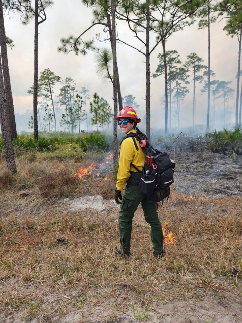 A firefighter turns and looks at the camera over her shoulder, smiling for a photo. She is dressed in Nomex and is lighting a prescribed fire. The landscape is grasses and Longleaf Pine trees.