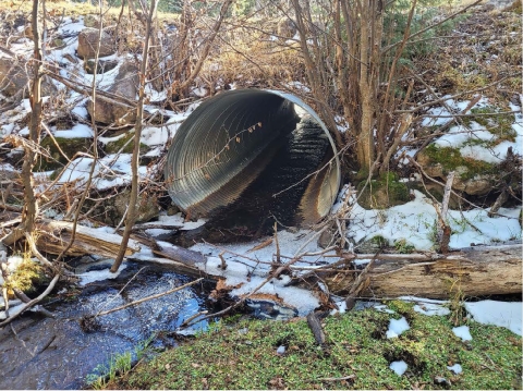 A pipe in the middle of a stream, providing a passage for water flow.