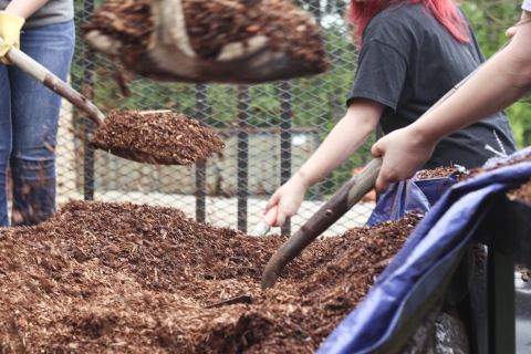 Several people using shovels to scoop up mulch from a mulch pile