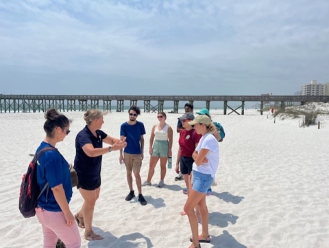 Student field trip on beach
