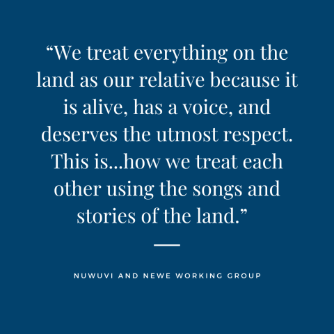 “We treat everything on the land as our relative because it is alive, has a voice, and deserves the utmost respect. This is...how we treat each other using the songs and stories of the land.” Attributed to Nuwuvi and Newe working group.