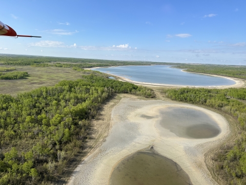 aerial view of wetlands and forests