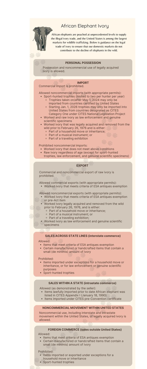 pink and gray text boxes and graphic of elephant and elphant tracks