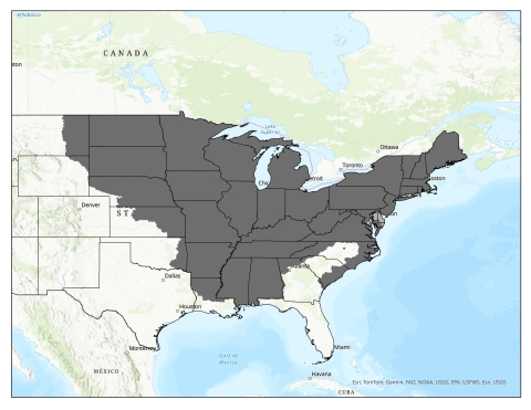 Northern long-eared bat wind map