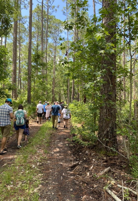 Photo shows participants in the Tots on Trails program walking on one of the trails in the refuge. The trail is two rut path through a forested area.