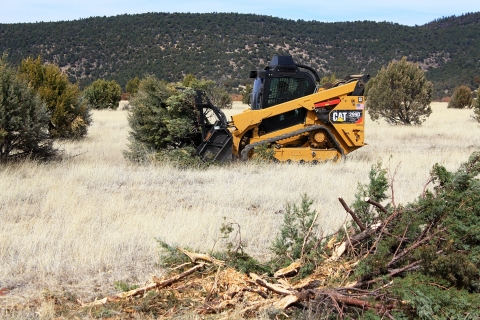 Image of a mechanical brush shredder cutting down trees in a savannah