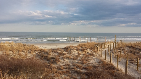 The Dune Trail at Cape May NWR leads to the Atlantic Ocean.