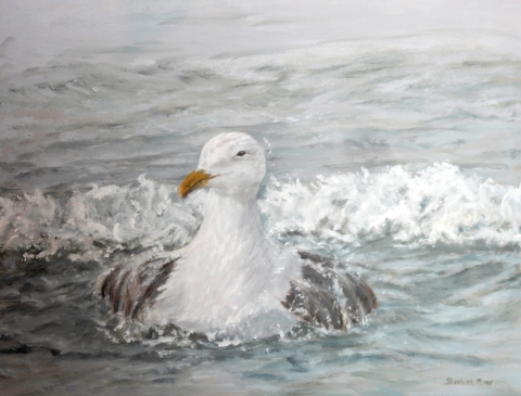 Gull in surf