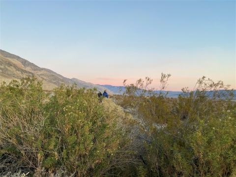Image of 2 people standing in a shrubby field 