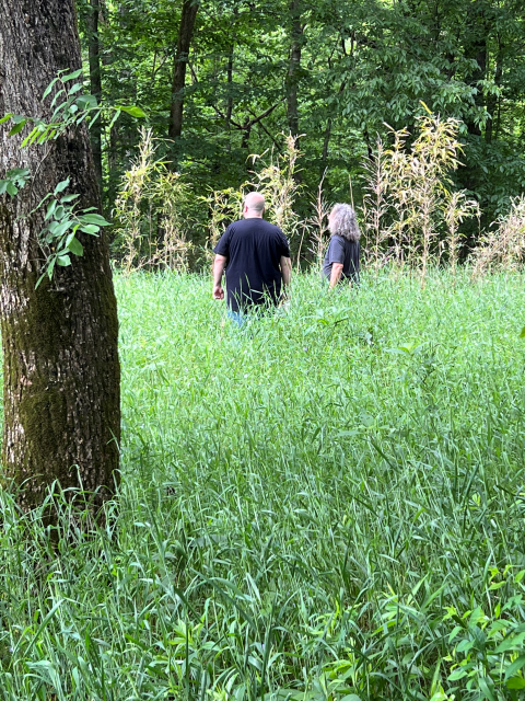 2 individuals standing in a small field of rivercane in a forested meadow