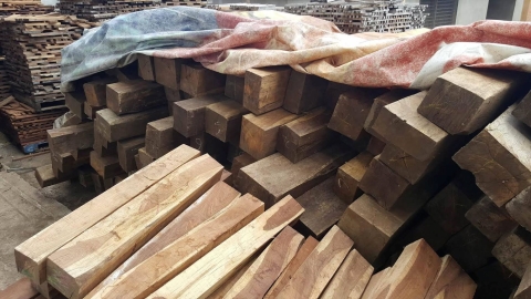 Sawn rosewood timber