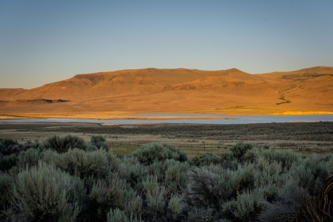 Sagebrush is in the foreground with a lake striking through the halfway point of the image. A mountain lit up by the sunset sits behind the lake.