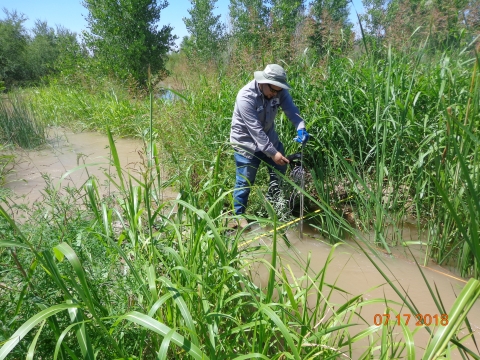 A staff member checking the flow in a body of water