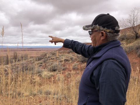 A man pointing out towards a field